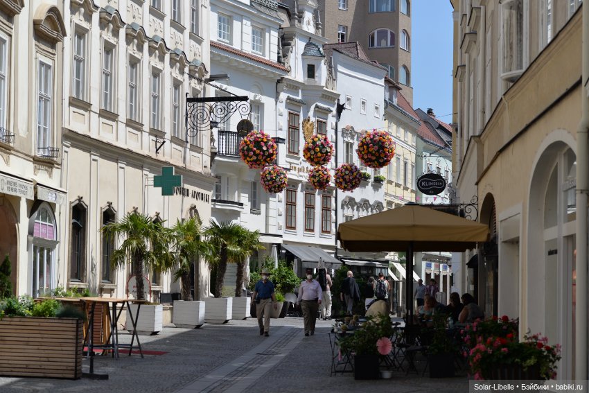 Долина Вахау с куколкой Руби Ред (фото 4)