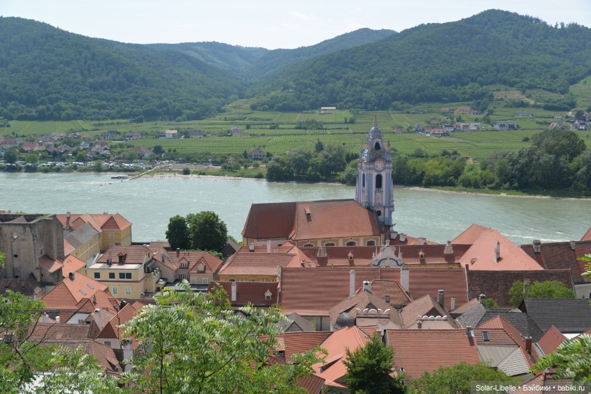 Долина Вахау с куколкой Руби Ред