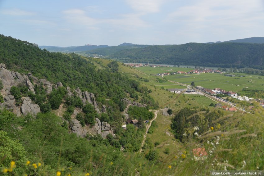 Долина Вахау с куколкой Руби Ред