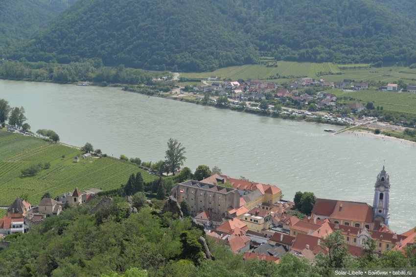 Долина Вахау с куколкой Руби Ред