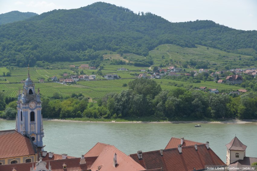 Долина Вахау с куколкой Руби Ред