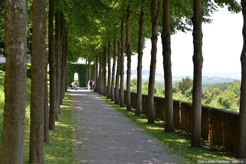 Долина Вахау с куколкой Руби Ред