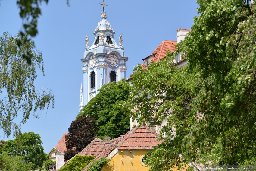 Долина Вахау с куколкой Руби Ред (фото 7)