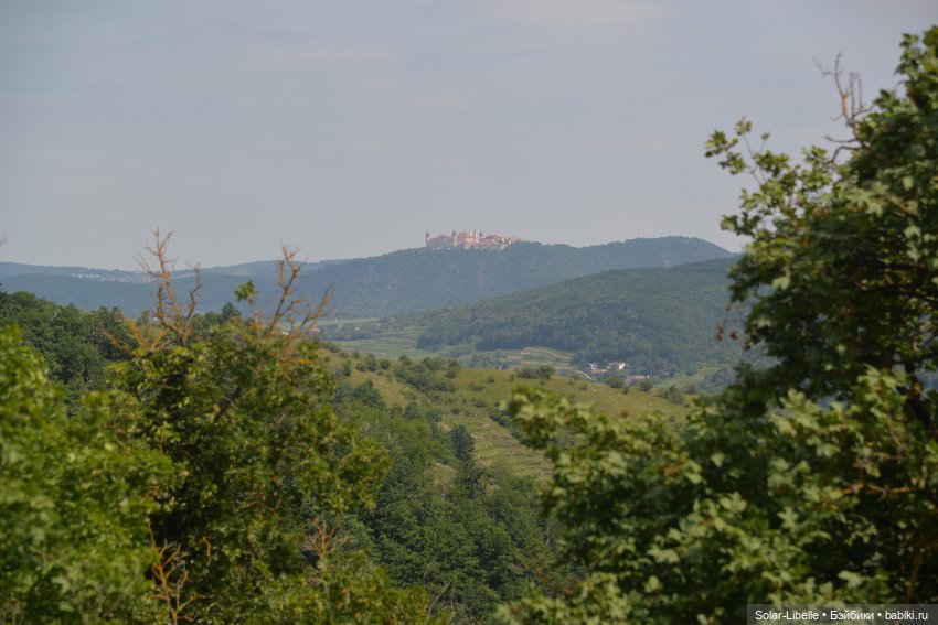 Долина Вахау с куколкой Руби Ред