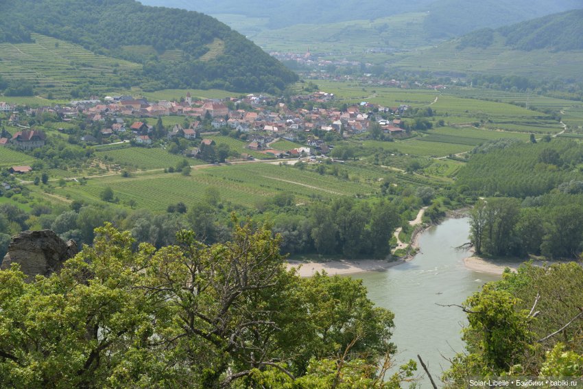 Долина Вахау с куколкой Руби Ред