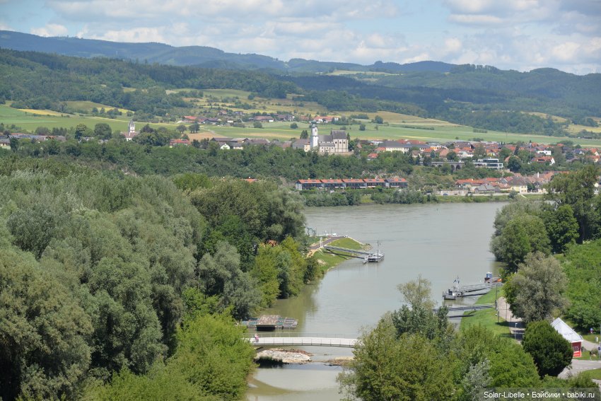 Долина Вахау с куколкой Руби Ред