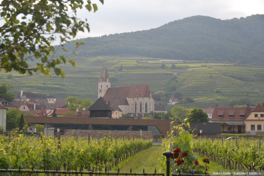 Долина Вахау с куколкой Руби Ред