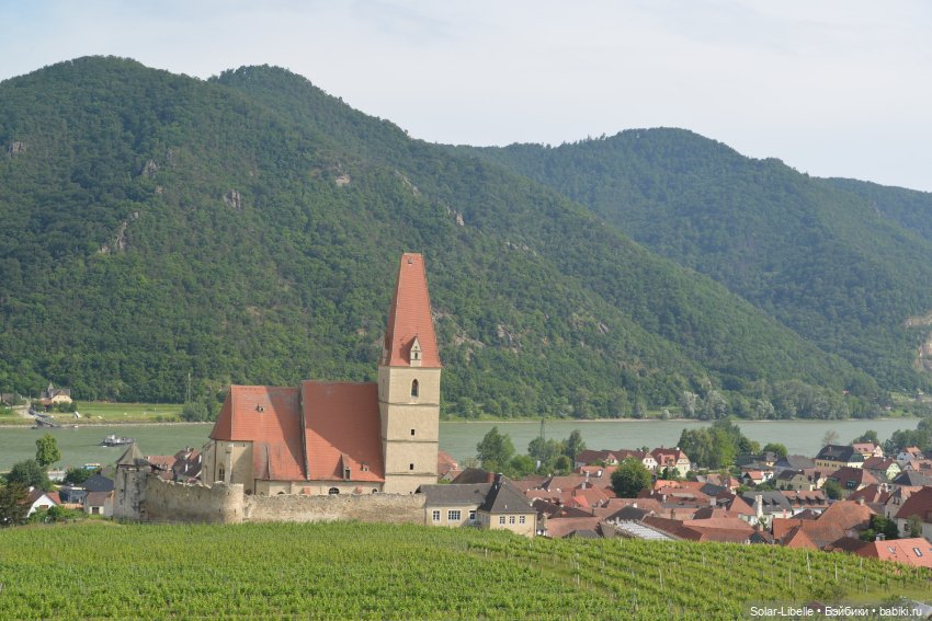 Долина Вахау с куколкой Руби Ред