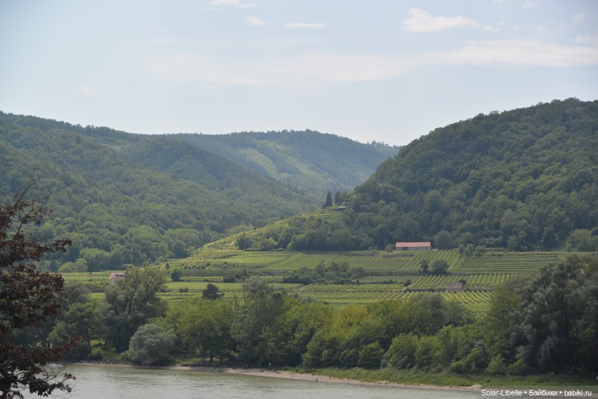 Долина Вахау с куколкой Руби Ред (фото 10)