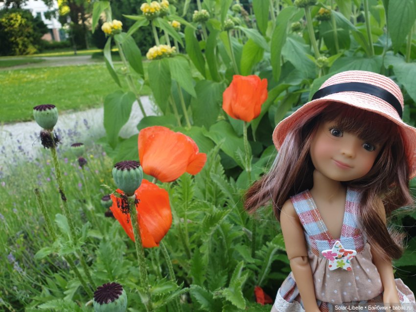 Долина Вахау с куколкой Руби Ред