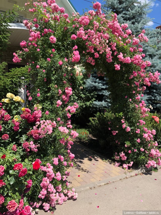 За посылкой — Игровые куклы разных производителей (Разное): редкие бренды (фото 5)