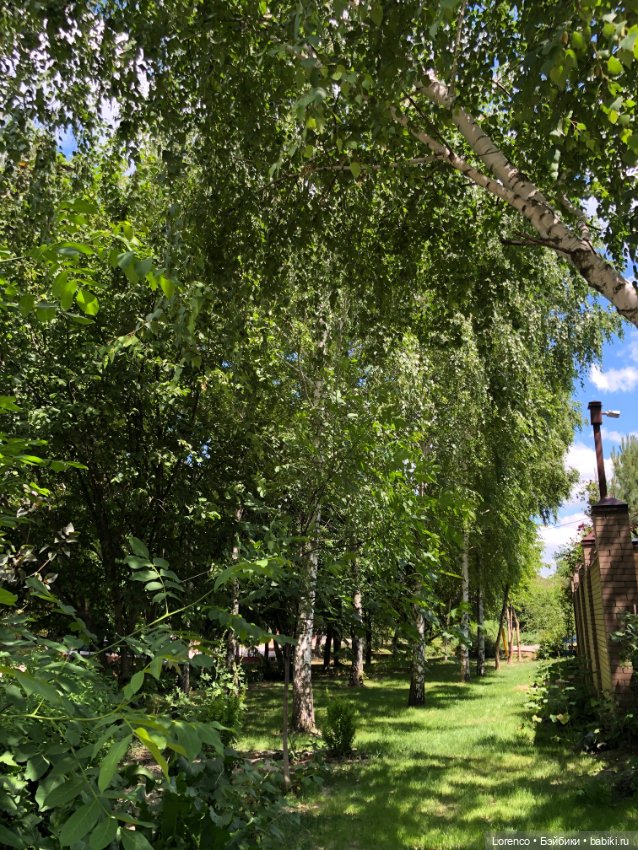 За посылкой — Игровые куклы разных производителей (Разное): редкие бренды