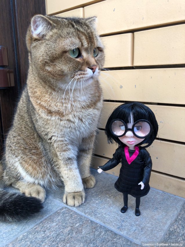 Это ещё кто — Игровые куклы разных производителей (Разное): редкие бренды