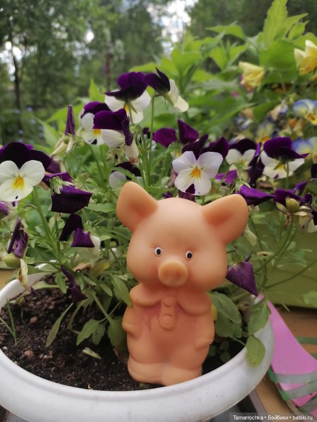 Мои поросята — Коллекции винтажных кукол и игрушек: СССР