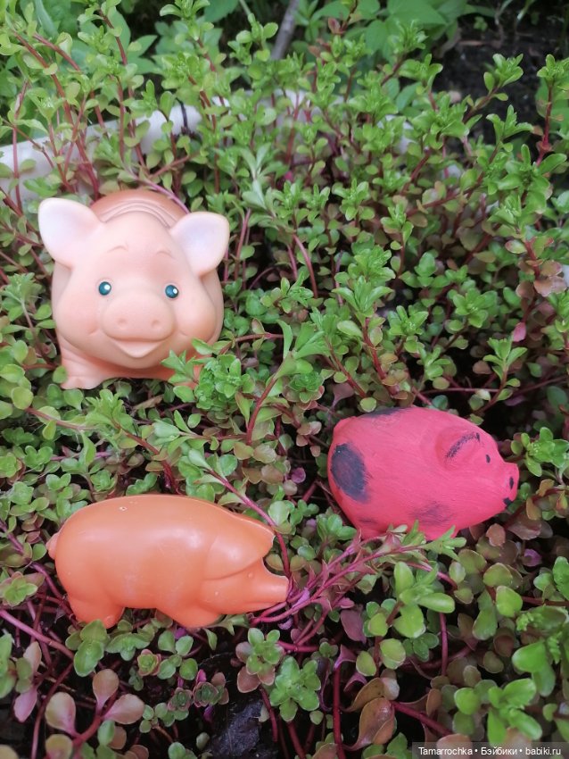 Мои поросята — Коллекции винтажных кукол и игрушек: СССР (фото 9)