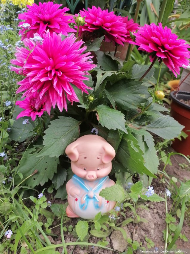 Мои поросята — Коллекции винтажных кукол и игрушек: СССР (фото 8)