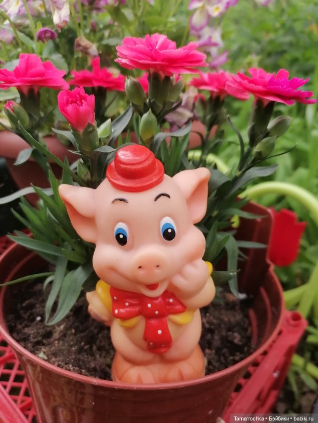 Мои поросята — Коллекции винтажных кукол и игрушек: СССР (фото 5)
