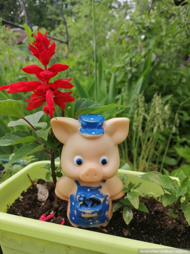 Мои поросята — Коллекции винтажных кукол и игрушек: СССР (фото 3)