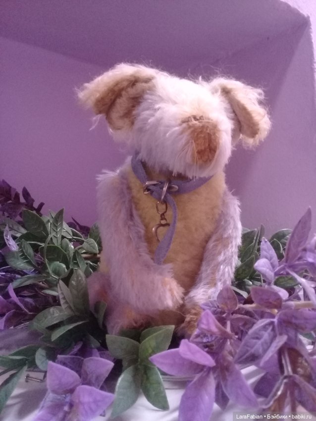 Как Малыш ездил в студию танцев (фото 3)