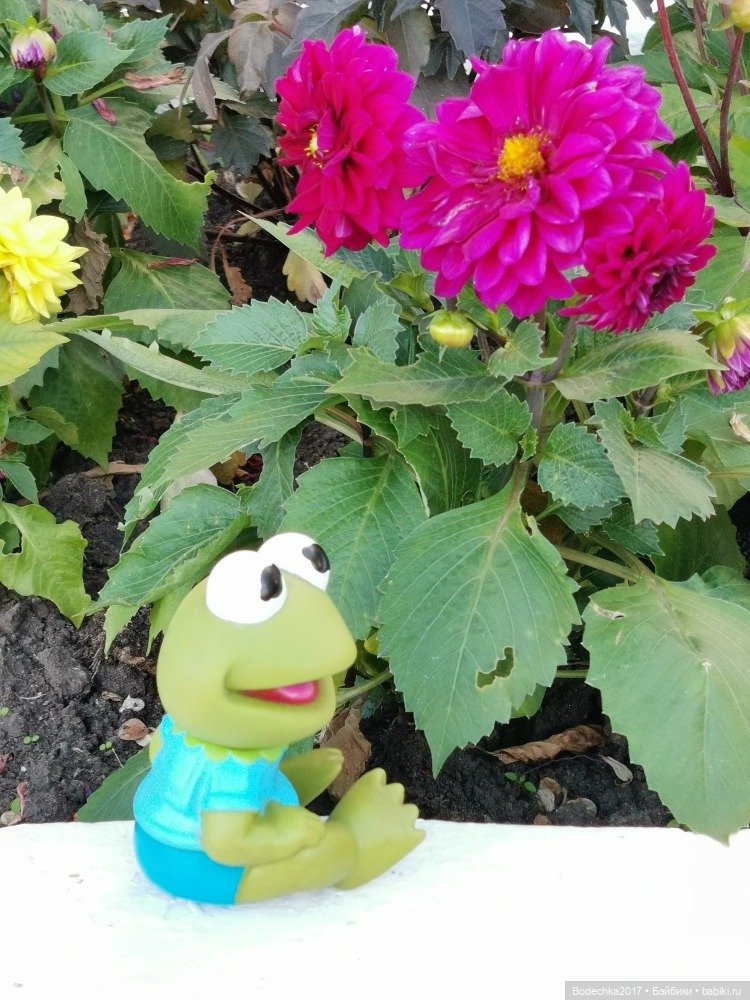 Квак у Вас дела — Игрушки СССР и советского детства: резиновые (фото 6)