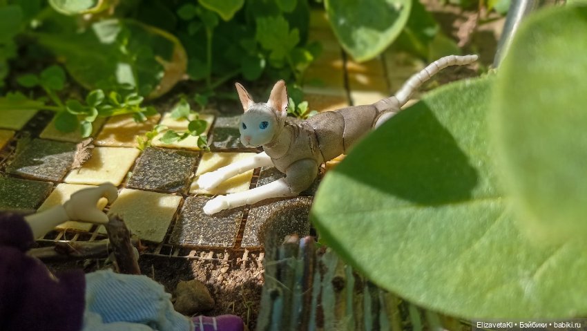 Прогулка. Realpuki. 165 — Фотоистории с куклами BJD (БЖД): сериалы (фото 3)