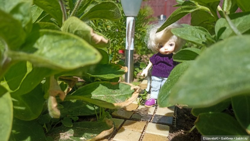 Прогулка. Realpuki. 165 — Фотоистории с куклами BJD (БЖД): сериалы (фото 4)