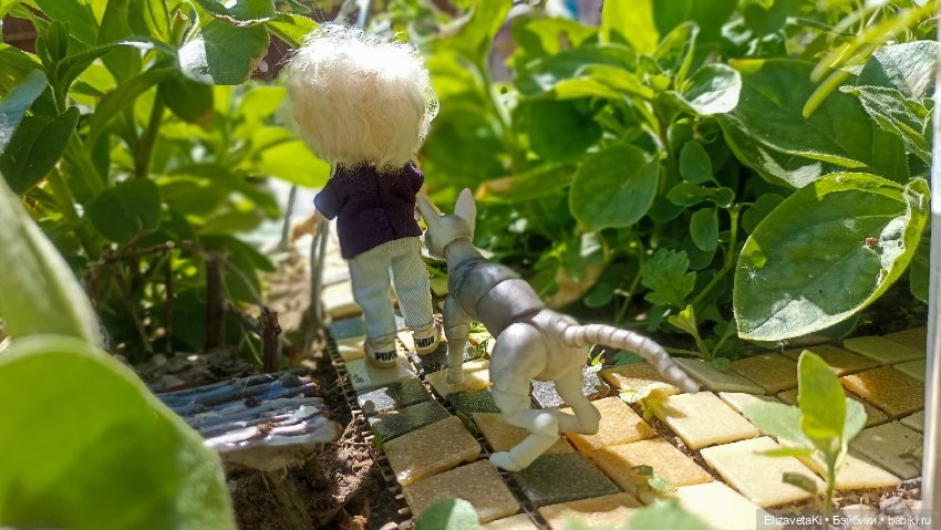 Прогулка. Realpuki. 165 — Фотоистории с куклами BJD (БЖД): сериалы (фото 5)