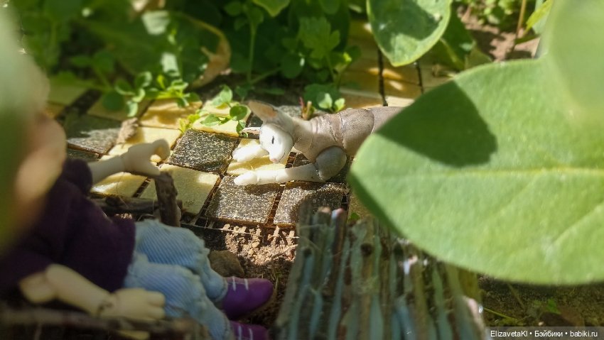 Прогулка. Realpuki. 165 — Фотоистории с куклами BJD (БЖД): сериалы (фото 2)