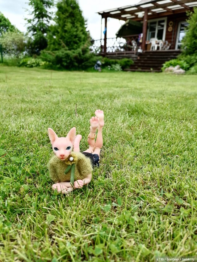 Кошечка — Домашние фото авторских кукол: личные коллекции