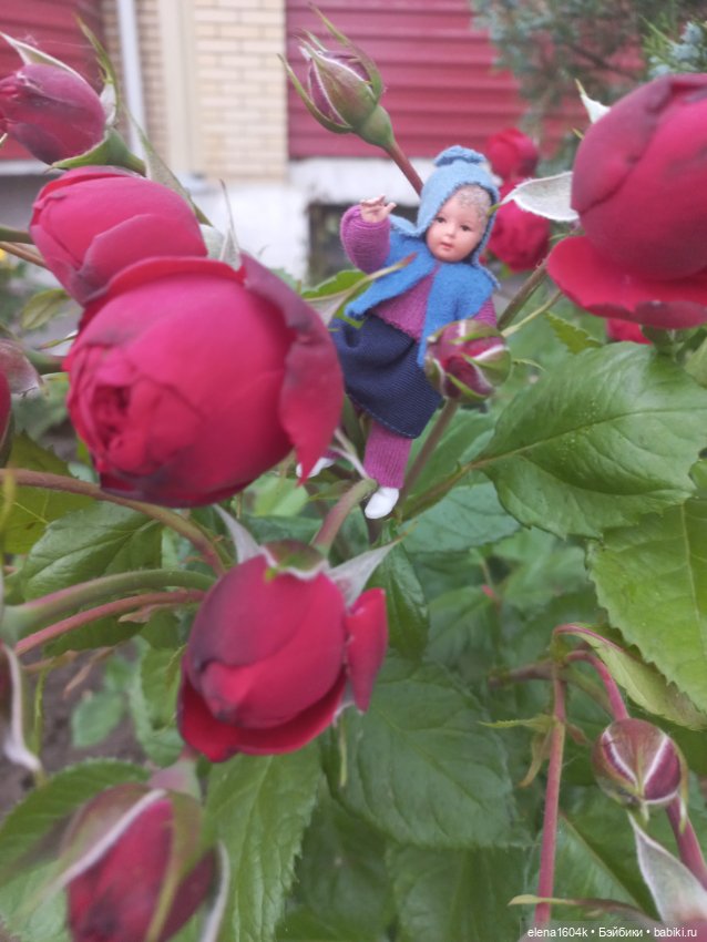 Дюймовочка на прогулке — Куклы Минимир (Minimir): Пупсы 7 и 11 см (фото 8)