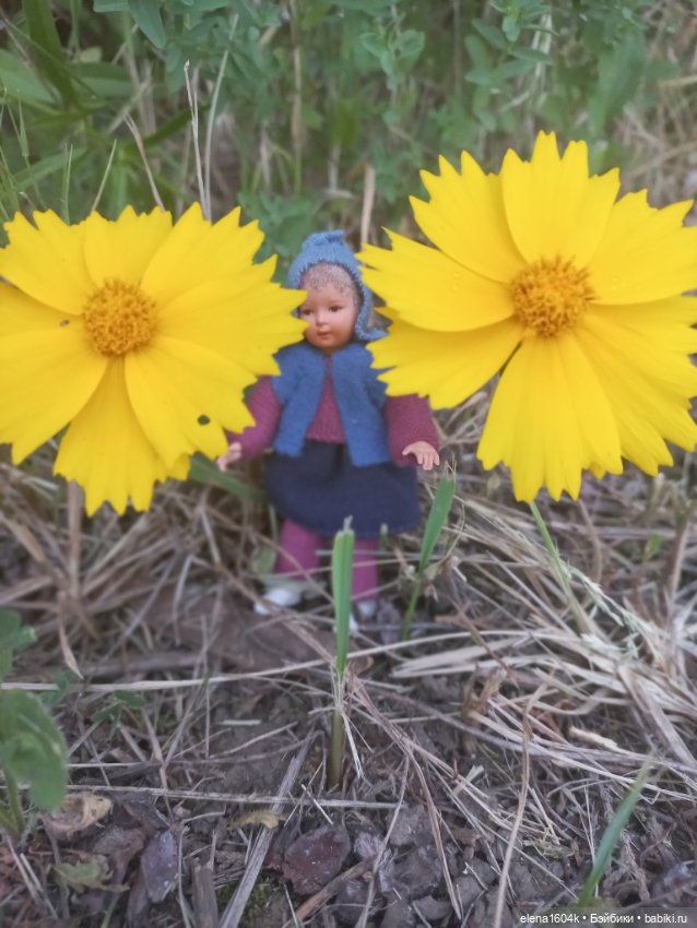 Дюймовочка на прогулке — Куклы Минимир (Minimir): Пупсы 7 и 11 см