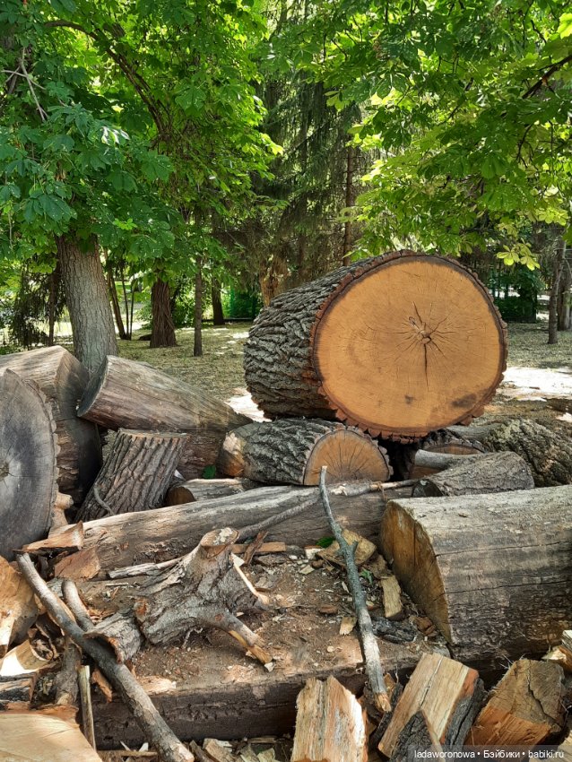 Таинственная коробочка — Разные шарнирные куклы (не БЖД): редкие