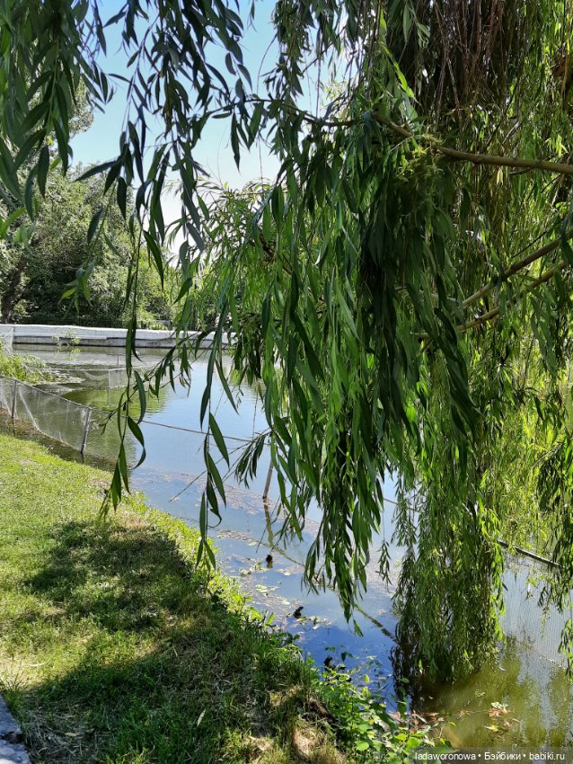 Таинственная коробочка — Разные шарнирные куклы (не БЖД): редкие (фото 8)