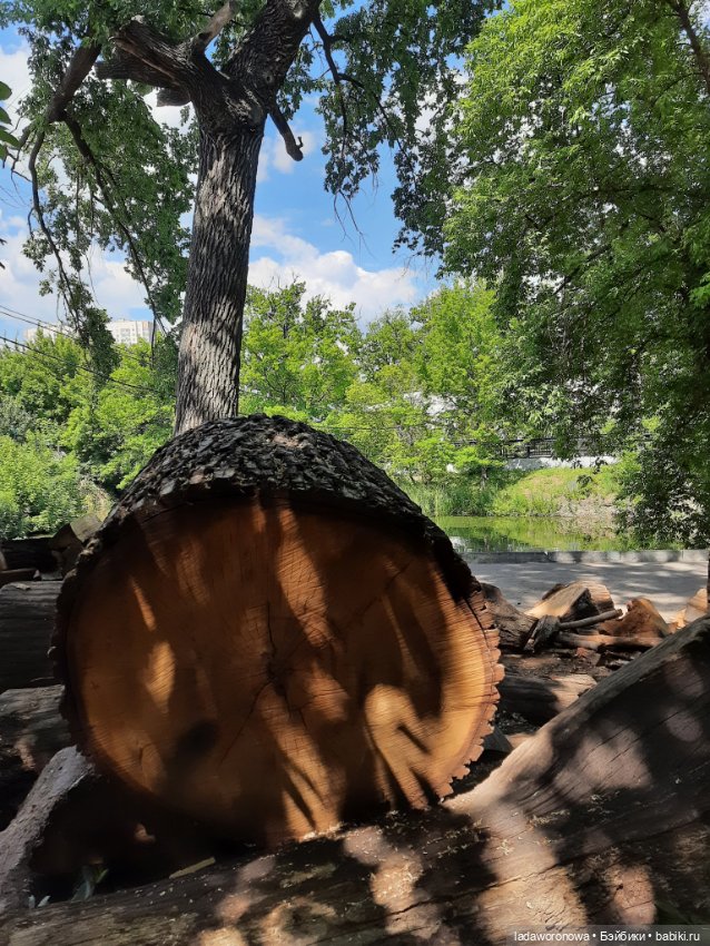 Таинственная коробочка — Разные шарнирные куклы (не БЖД): редкие