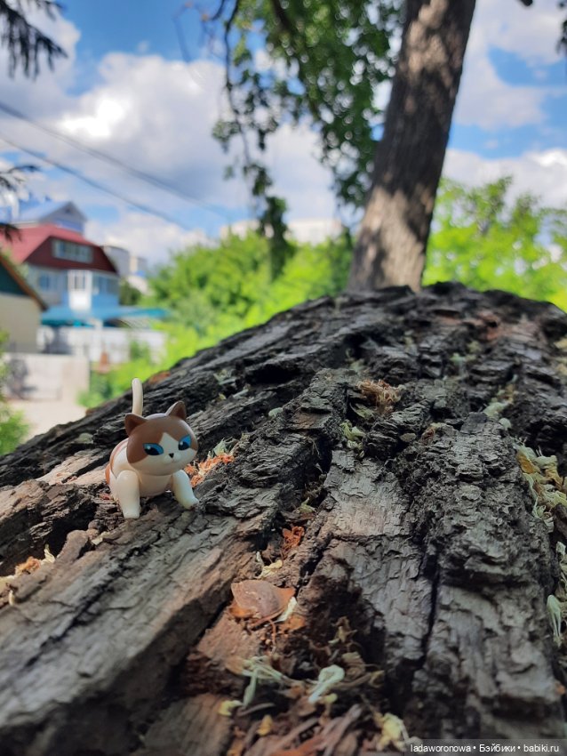 Таинственная коробочка — Разные шарнирные куклы (не БЖД): редкие