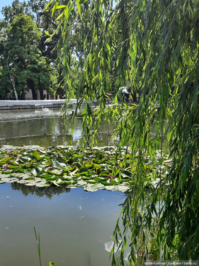 Таинственная коробочка — Разные шарнирные куклы (не БЖД): редкие (фото 4)