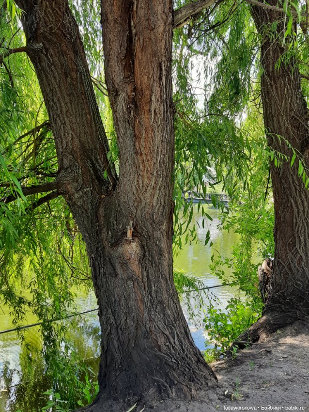 Таинственная коробочка — Разные шарнирные куклы (не БЖД): редкие (фото 7)