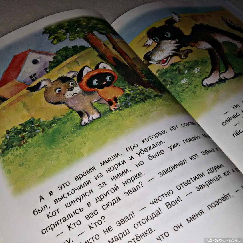 ...Котёнок по имени Гав — Интересное и необычное: фотоподборки (фото 8)