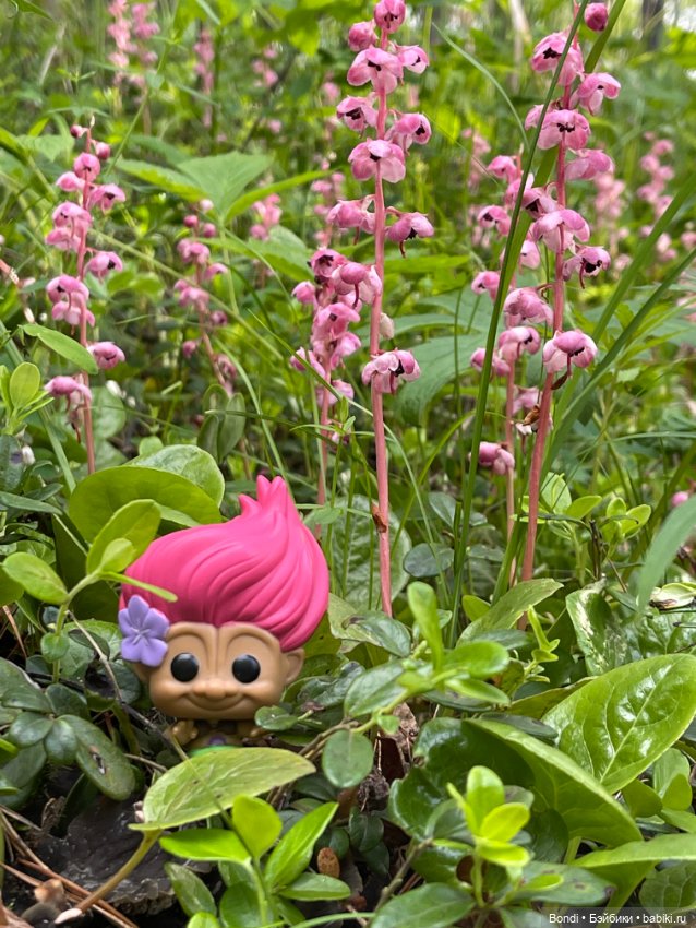 Тролли (эльфы) на удачу в своей среде (фото 8)