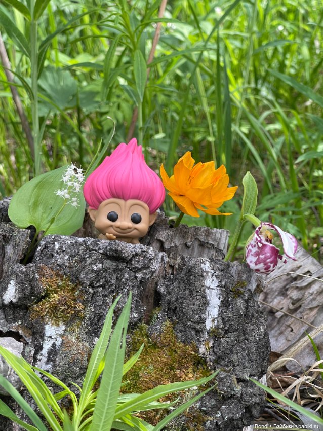 Тролли (эльфы) на удачу в своей среде (фото 7)