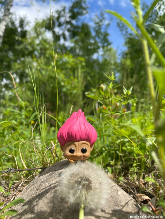 Тролли (эльфы) на удачу в своей среде (фото 6)