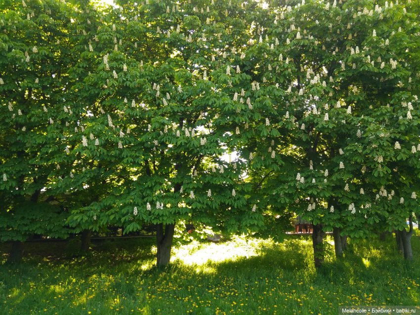 Пока еще не ведьма — Игровые куклы разных производителей (Разное): редкие бренды (фото 8)