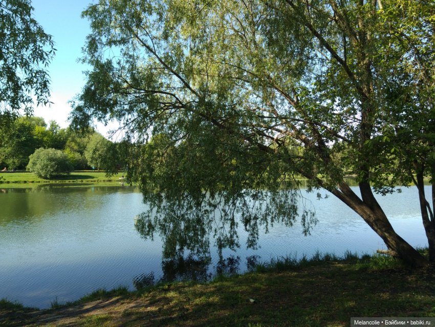 Пока еще не ведьма — Игровые куклы разных производителей (Разное): редкие бренды