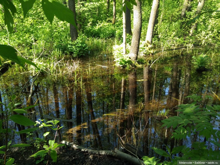 Пока еще не ведьма — Игровые куклы разных производителей (Разное): редкие бренды