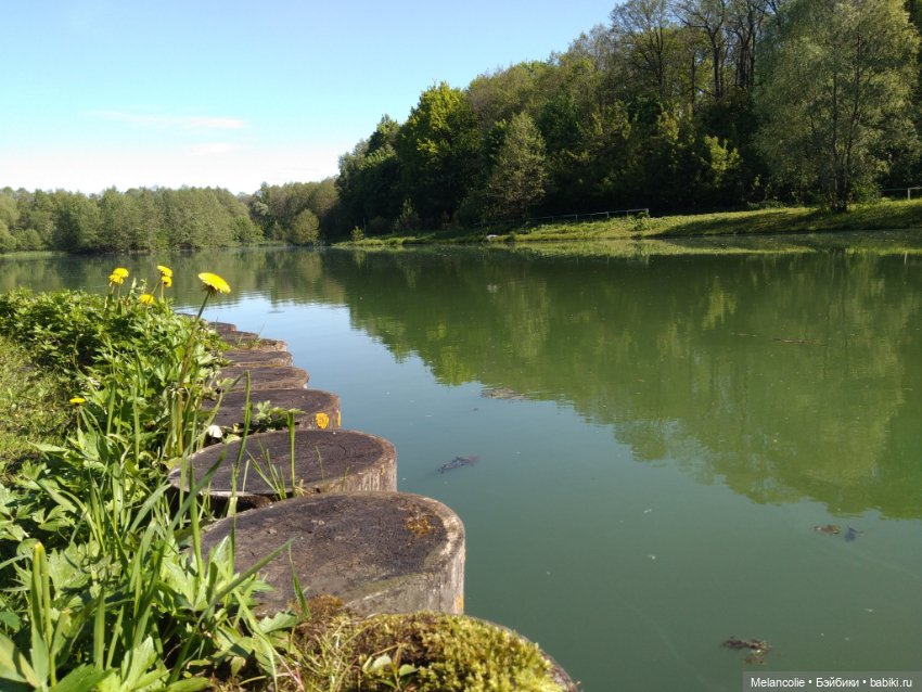 Пока еще не ведьма — Игровые куклы разных производителей (Разное): редкие бренды