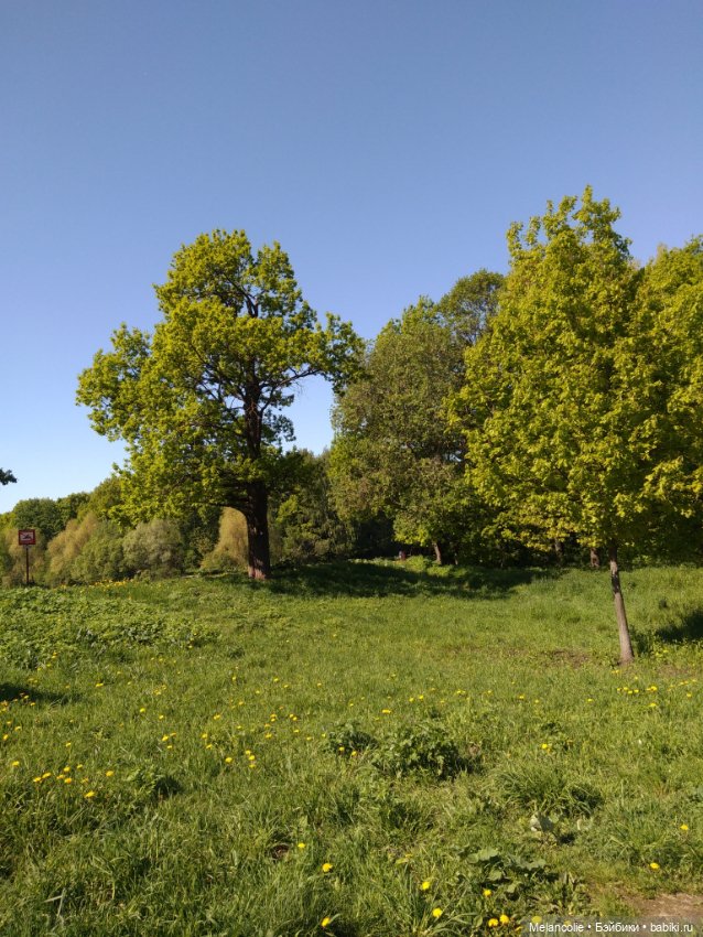 Пока еще не ведьма — Игровые куклы разных производителей (Разное): редкие бренды