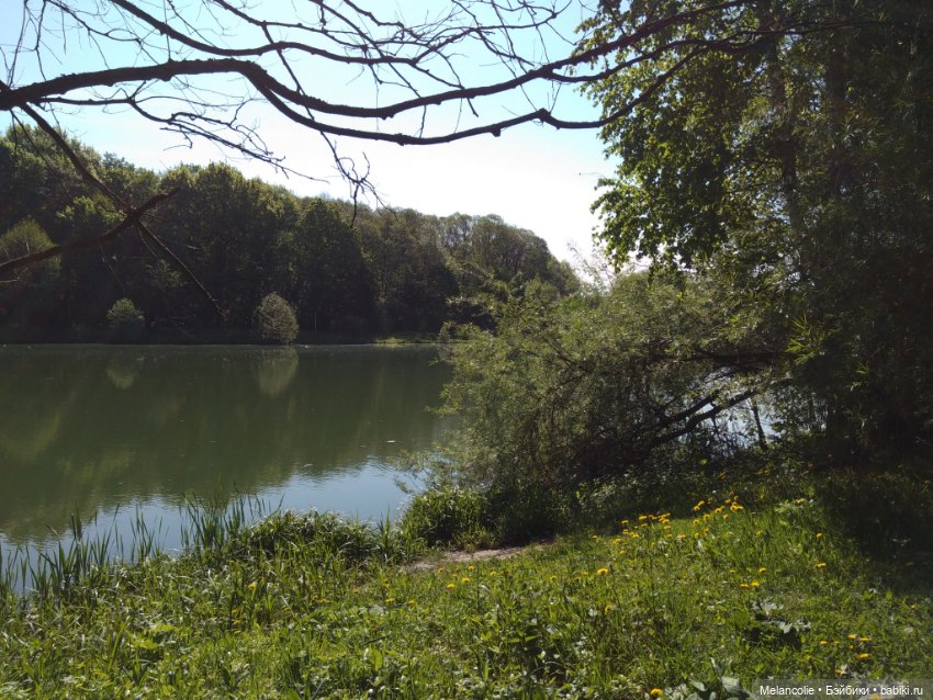 Пока еще не ведьма — Игровые куклы разных производителей (Разное): редкие бренды