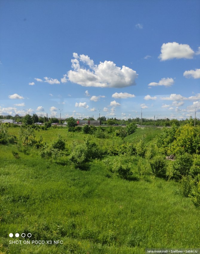 Кукла Наташа и поля люпинов (фото 9)