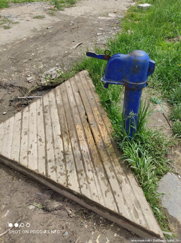 Кукла Наташа и поля люпинов