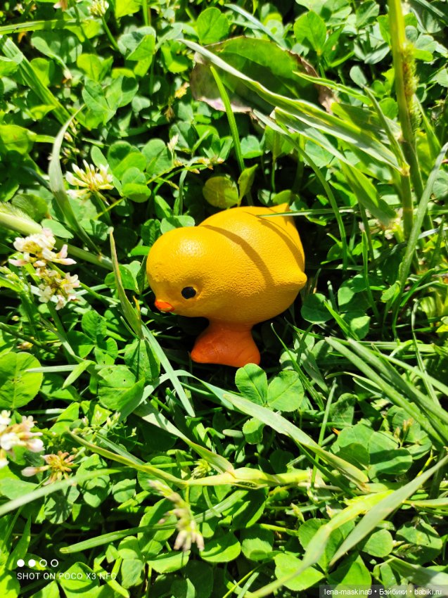 Кукла Наташа и поля люпинов